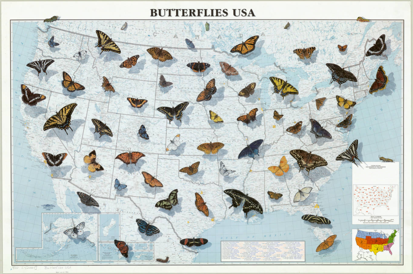 map of all the state butterflies